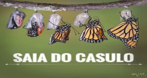 Saia do Casulo